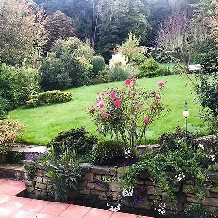 Ein Zuhause Mit Schonem Garten Apartment Bonn Bagian luar foto